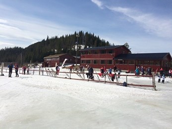 Bomløsning Selbuskogen